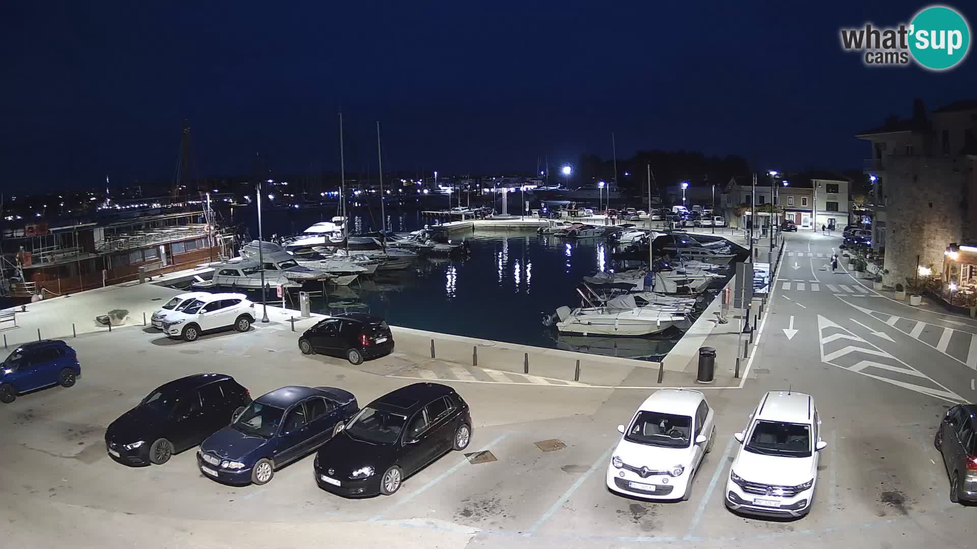 Novigrad | Porporela marina