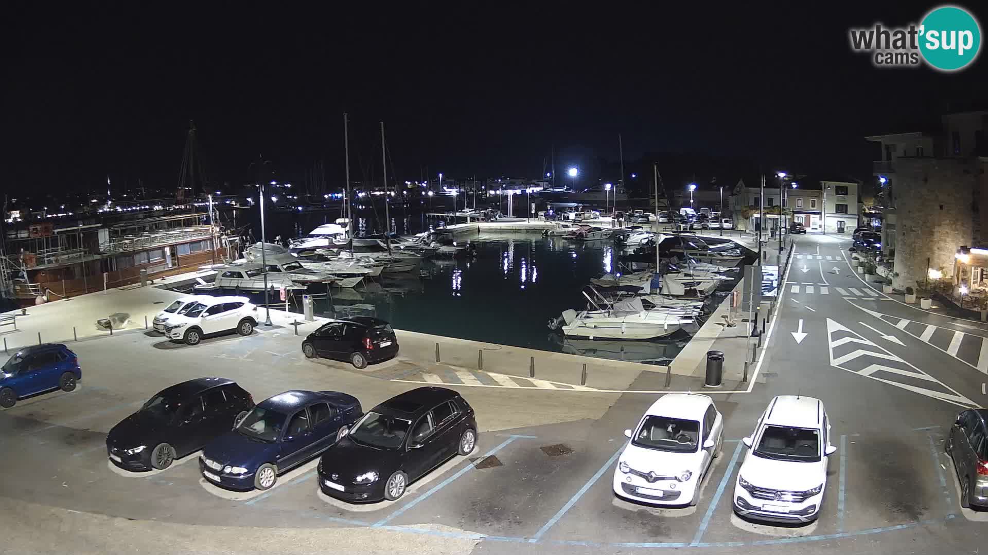 Novigrad | Porporela marina