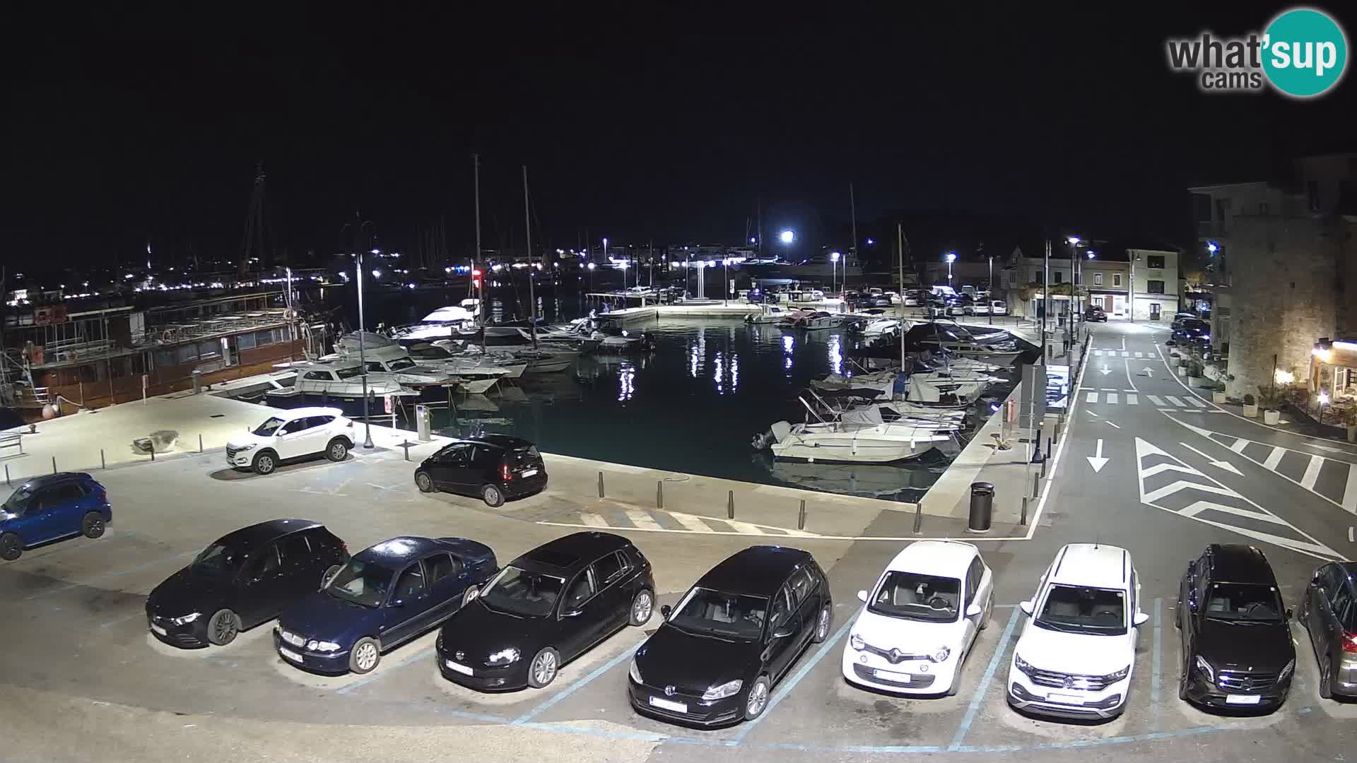 Novigrad | Porporela marina