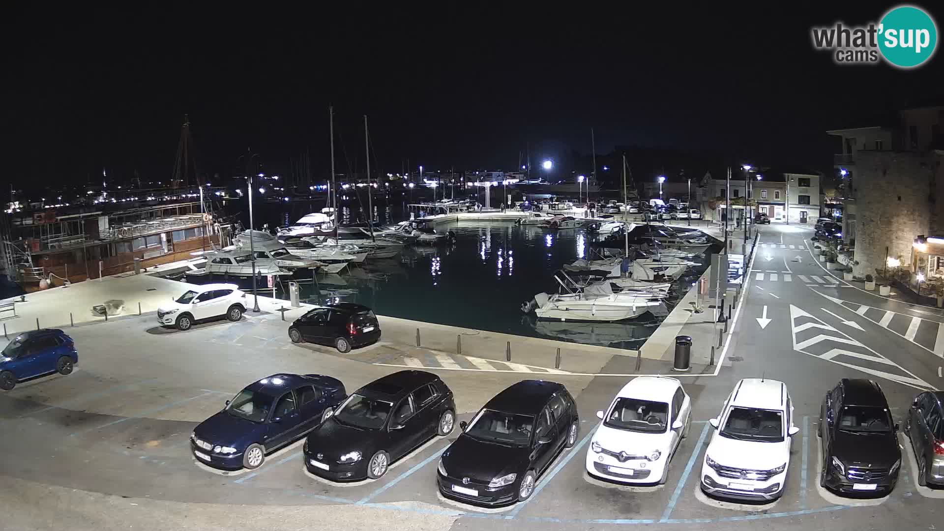 Novigrad | Porporela marina