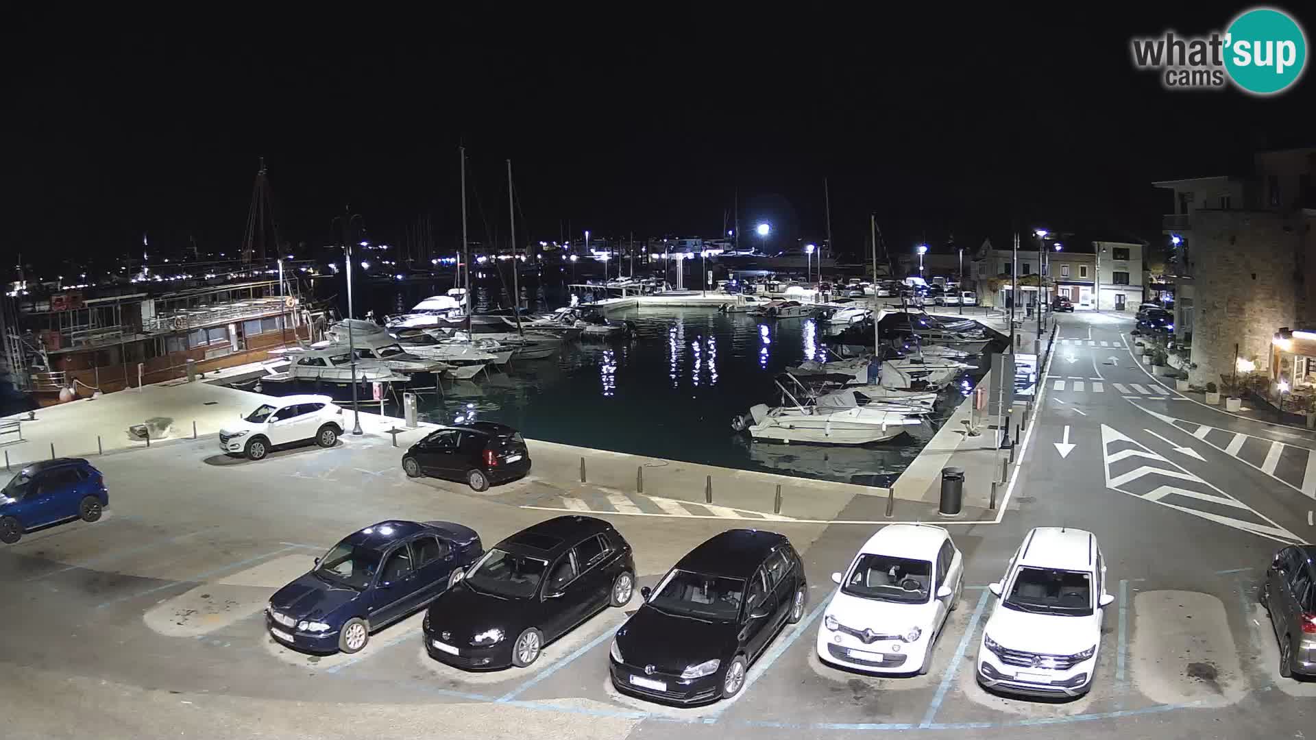 Novigrad | Porporela marina