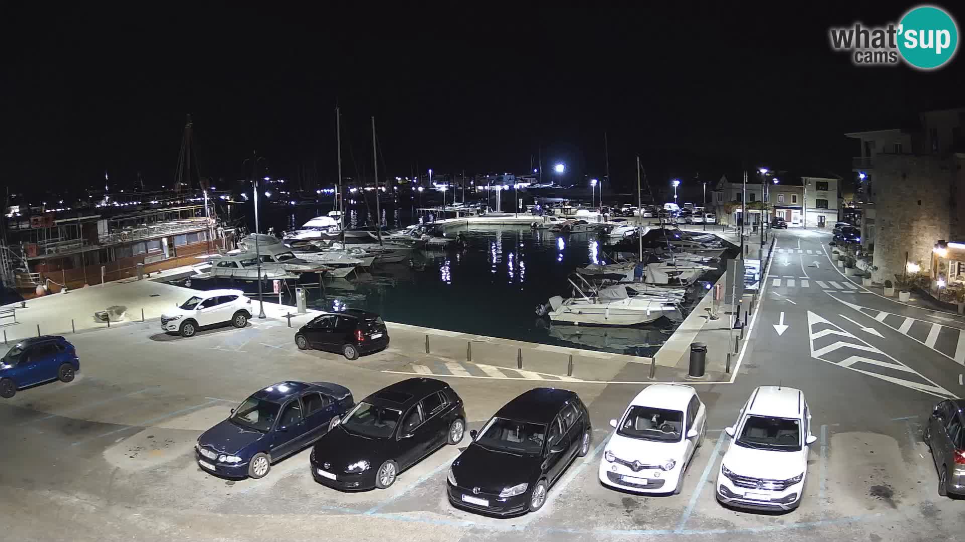 Novigrad | Porporela marina