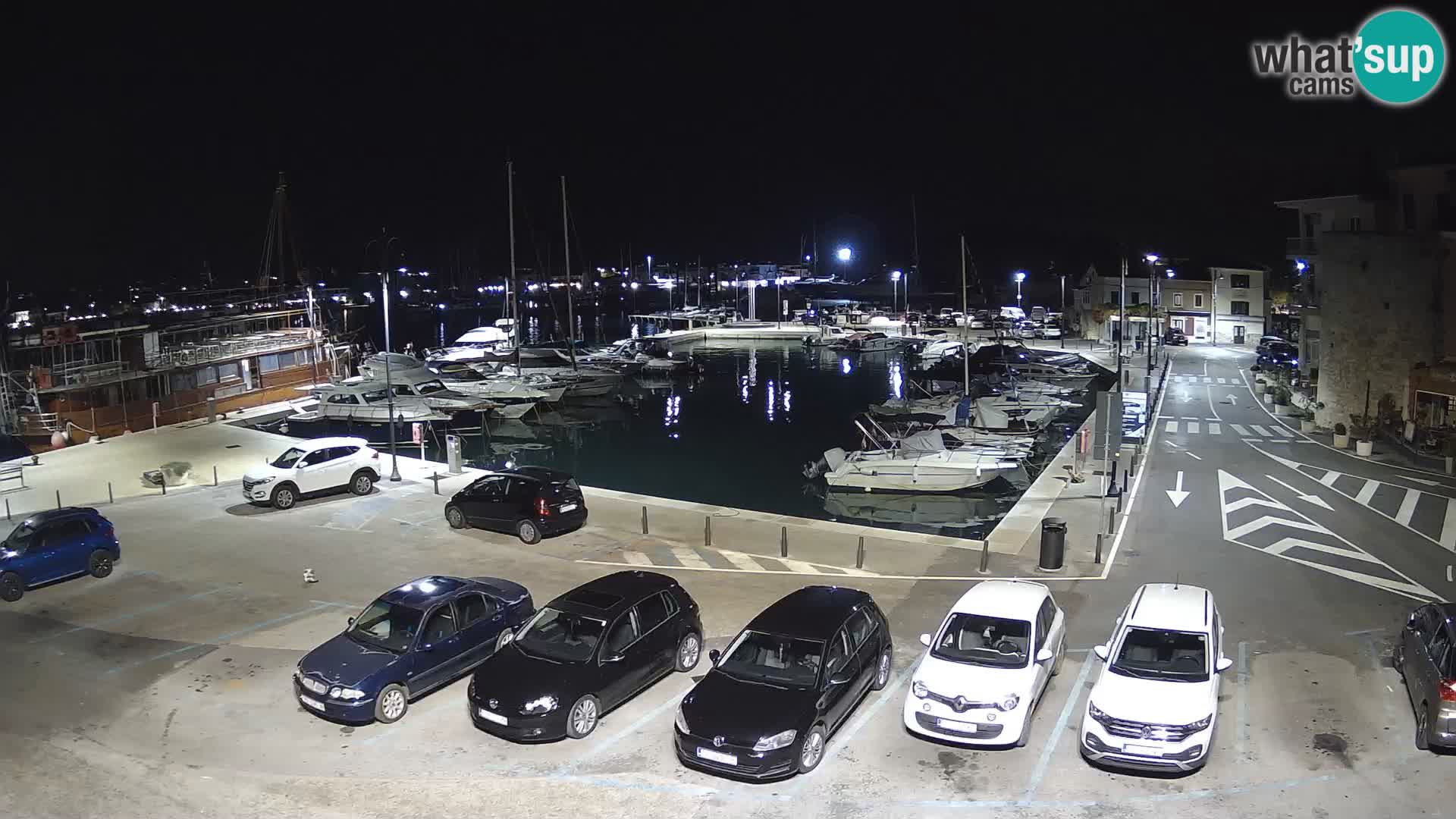 Novigrad | Porporela marina