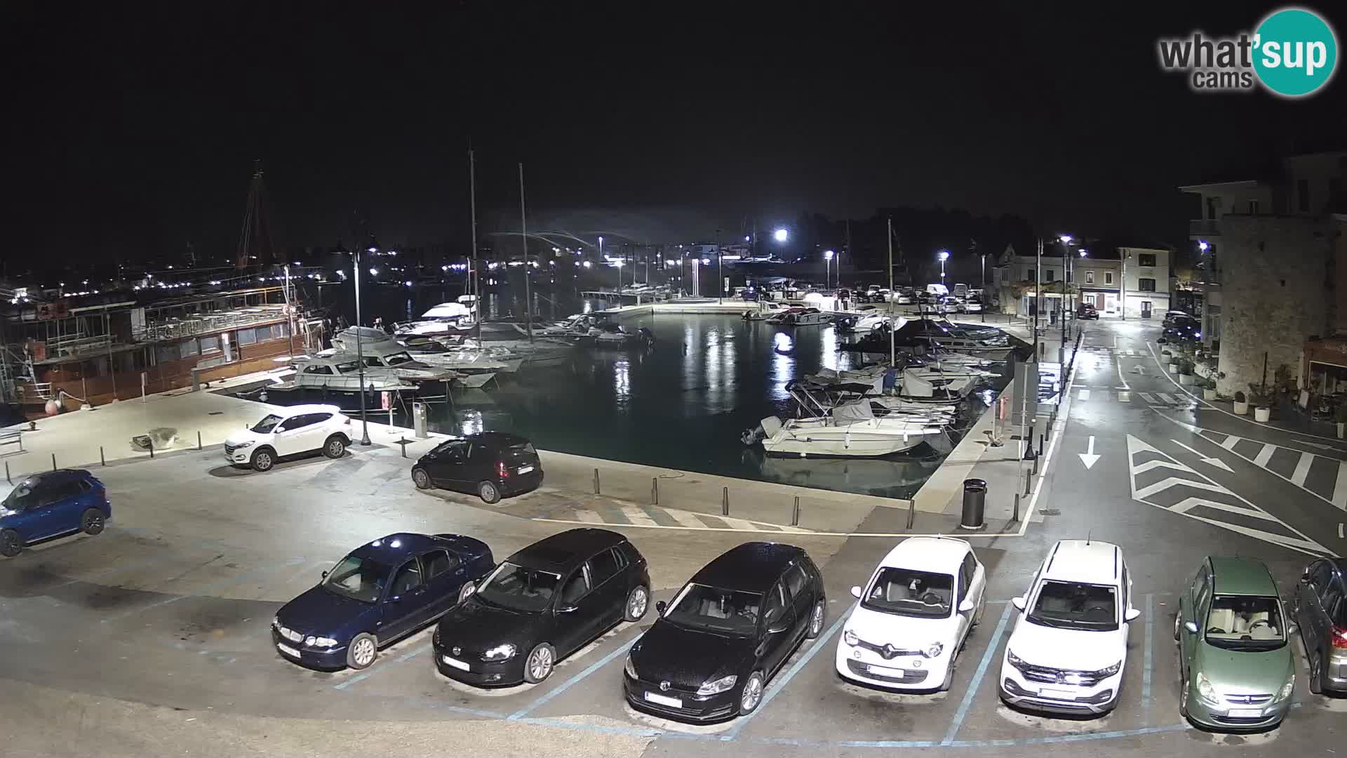 Novigrad | Porporela marina
