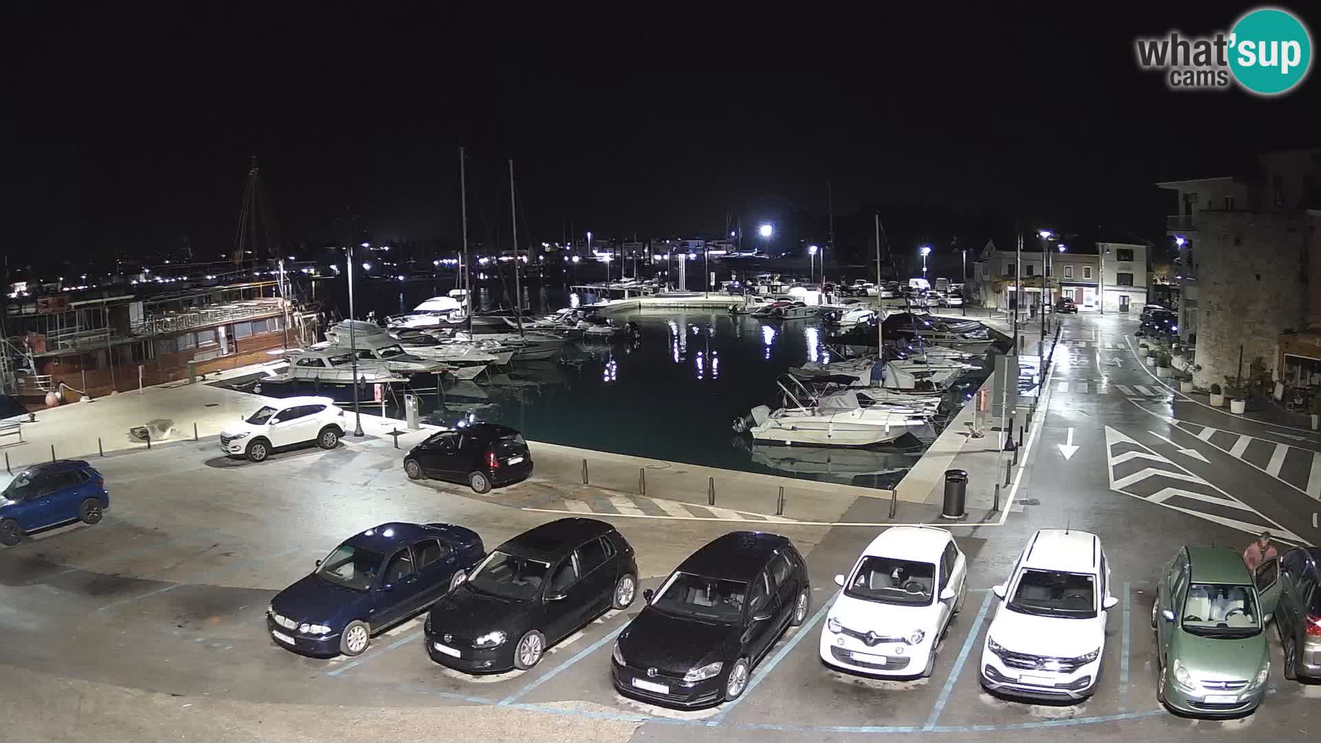Novigrad | Porporela marina