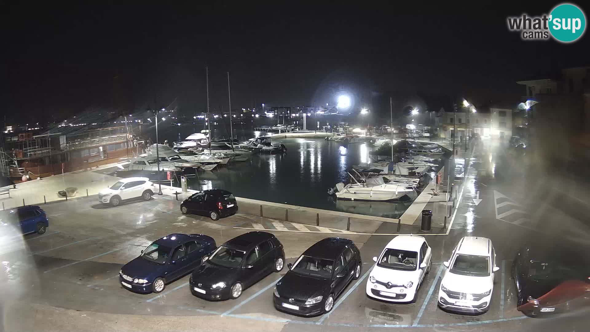 Novigrad | Porporela marina