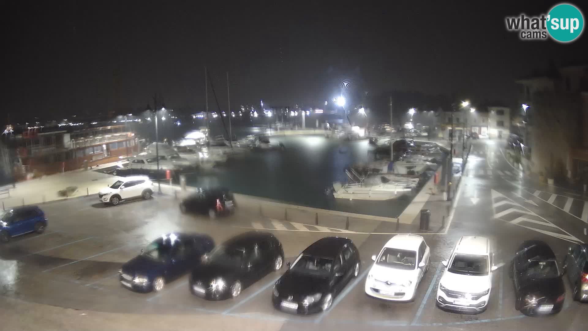 Novigrad | Porporela marina