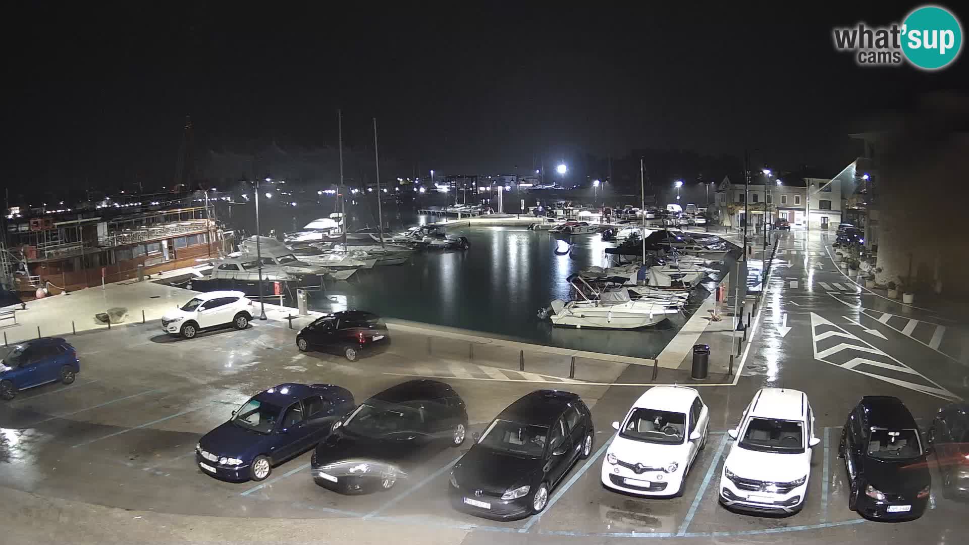 Novigrad | Porporela marina