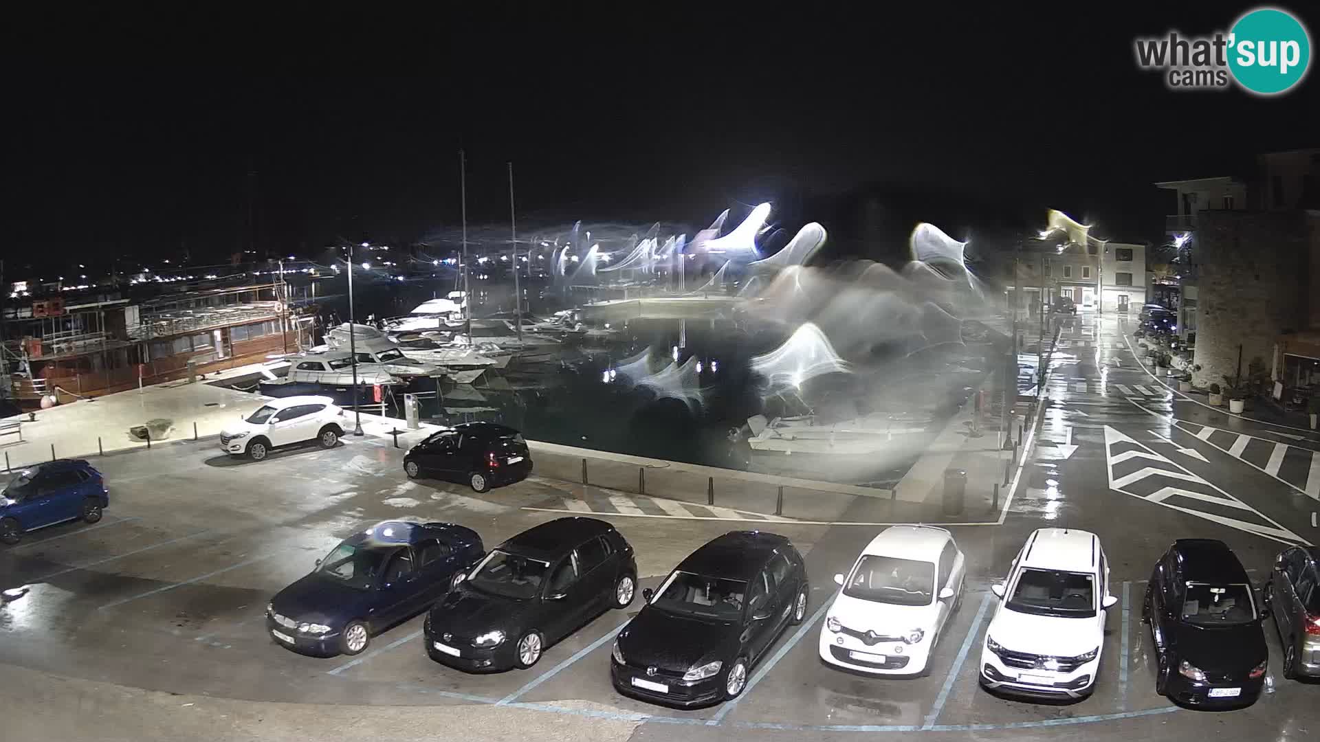 Novigrad | Porporela marina