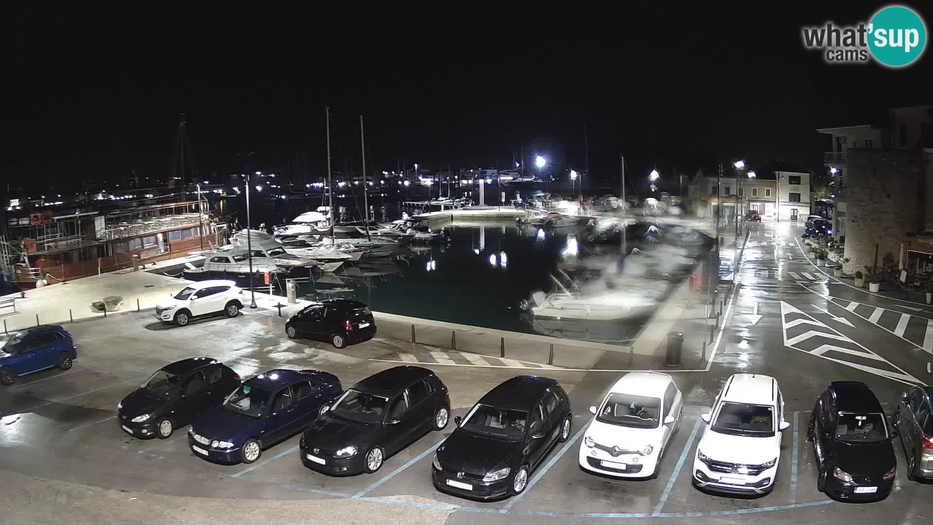 Novigrad | Porporela marina