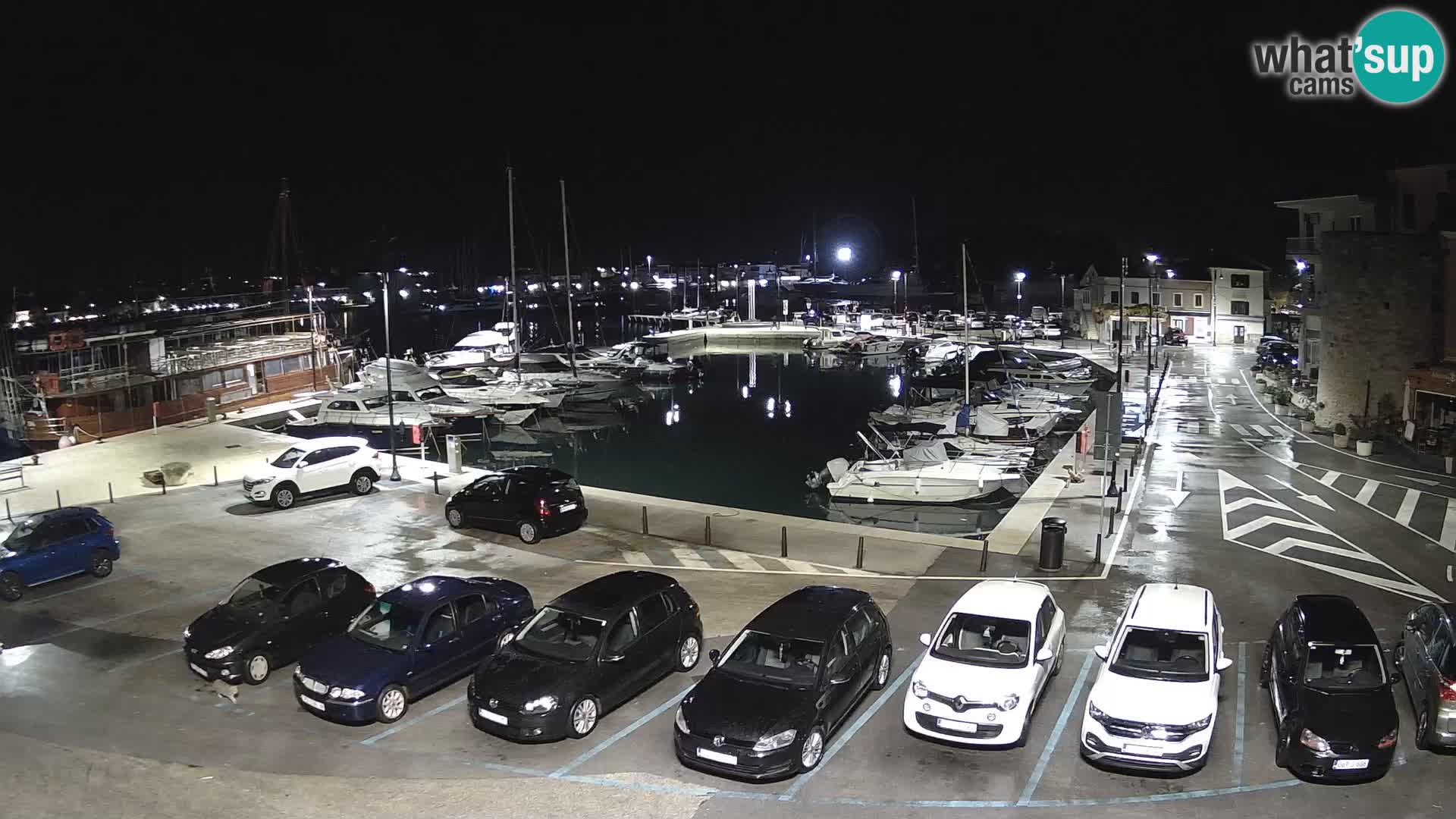 Novigrad | Porporela marina