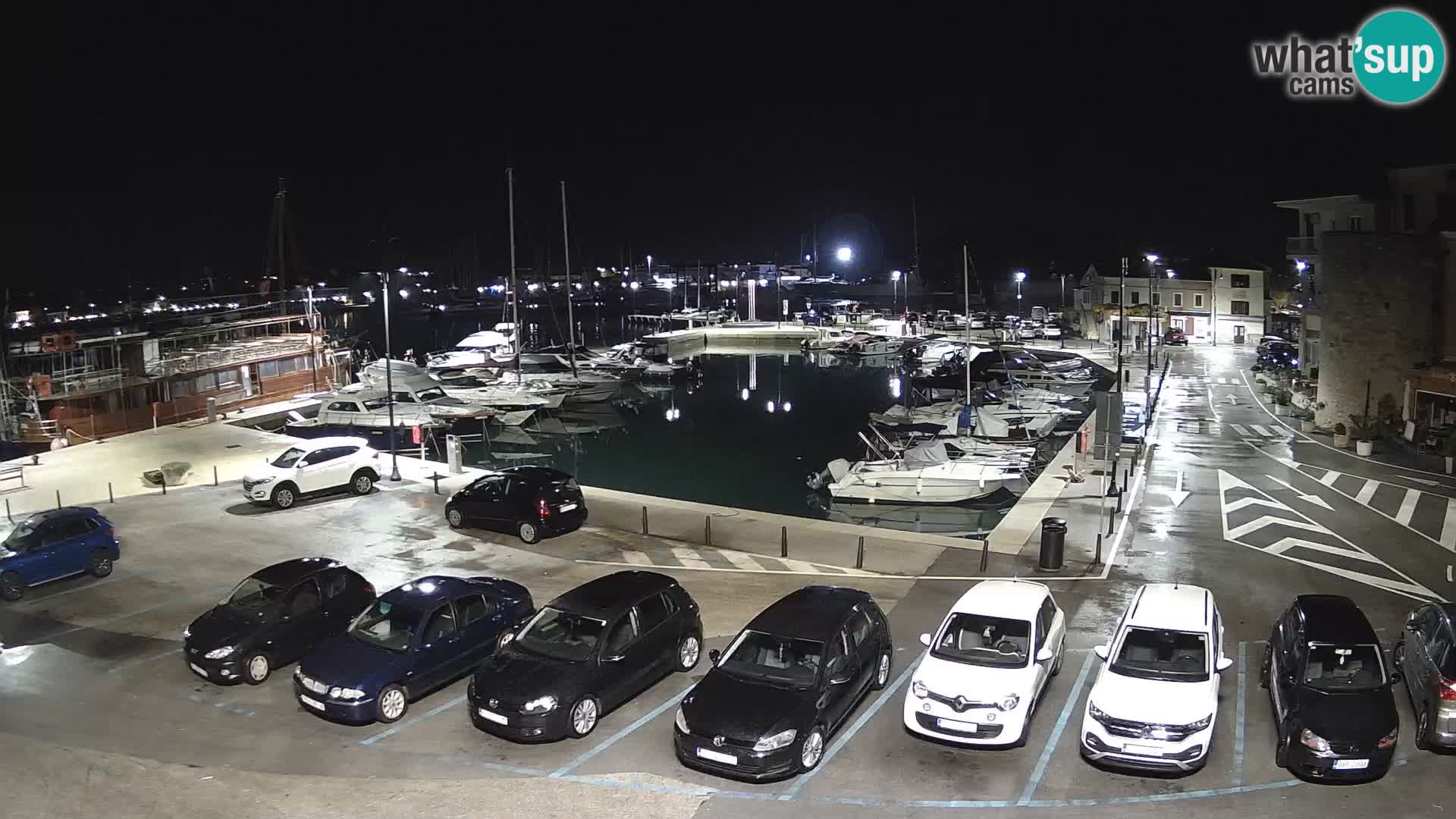Novigrad | Porporela marina