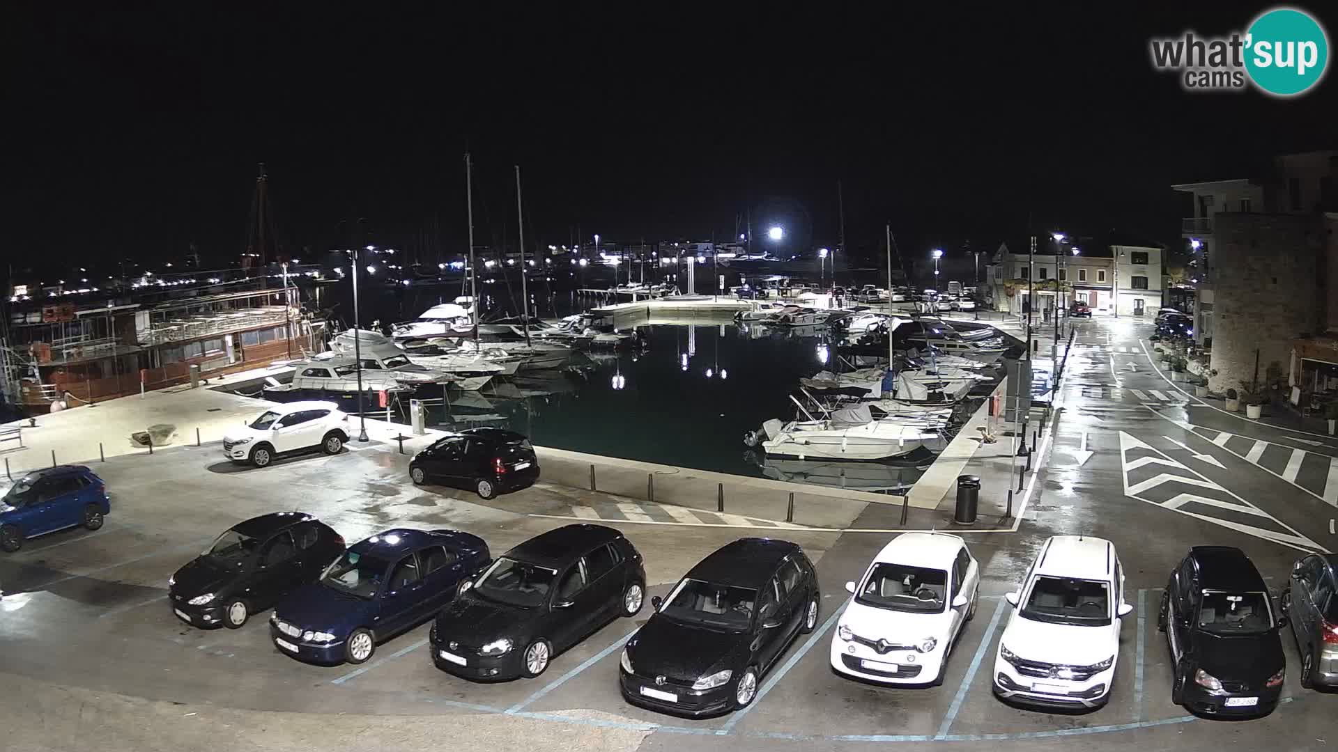 Novigrad | Porporela marina