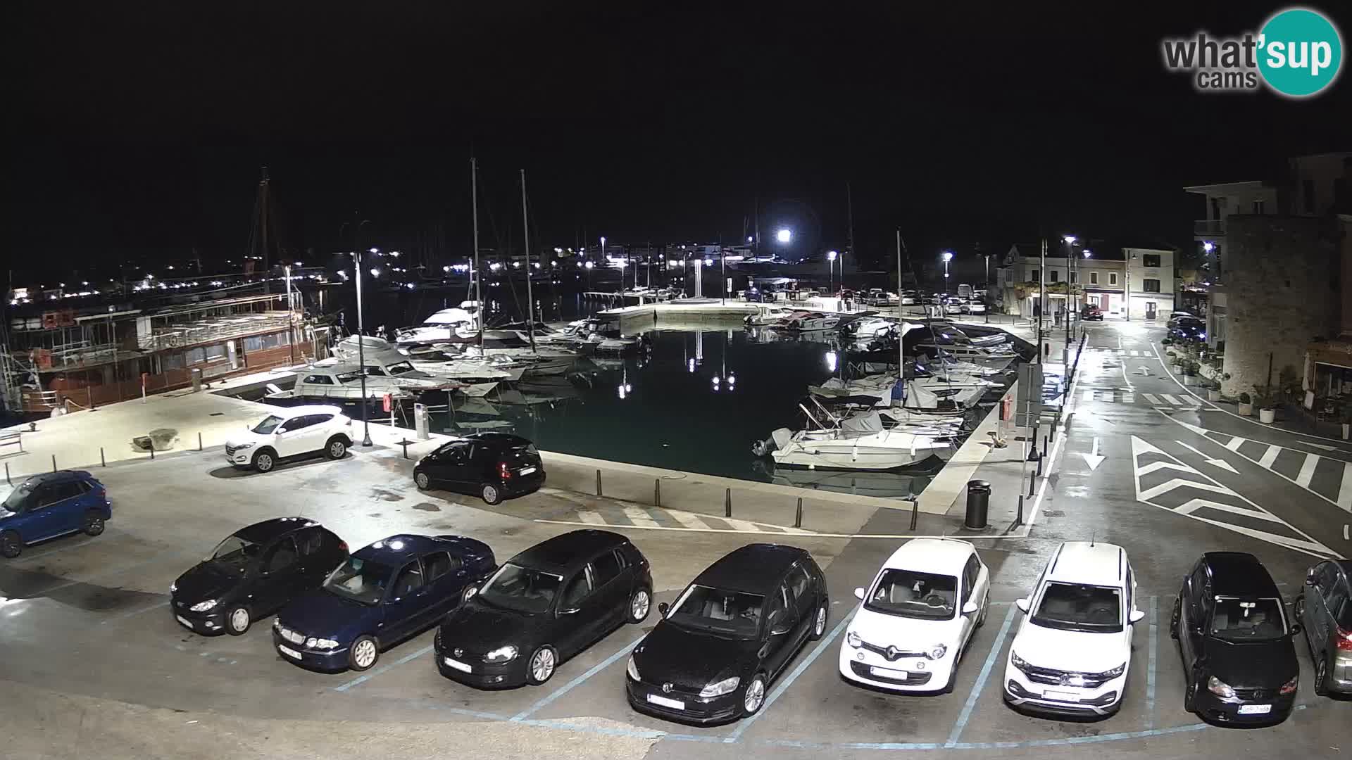 Novigrad | Porporela marina