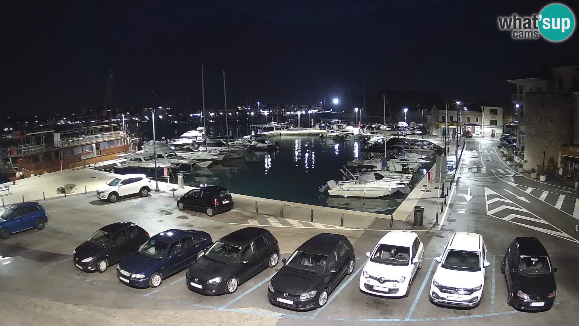 Novigrad | Porporela marina