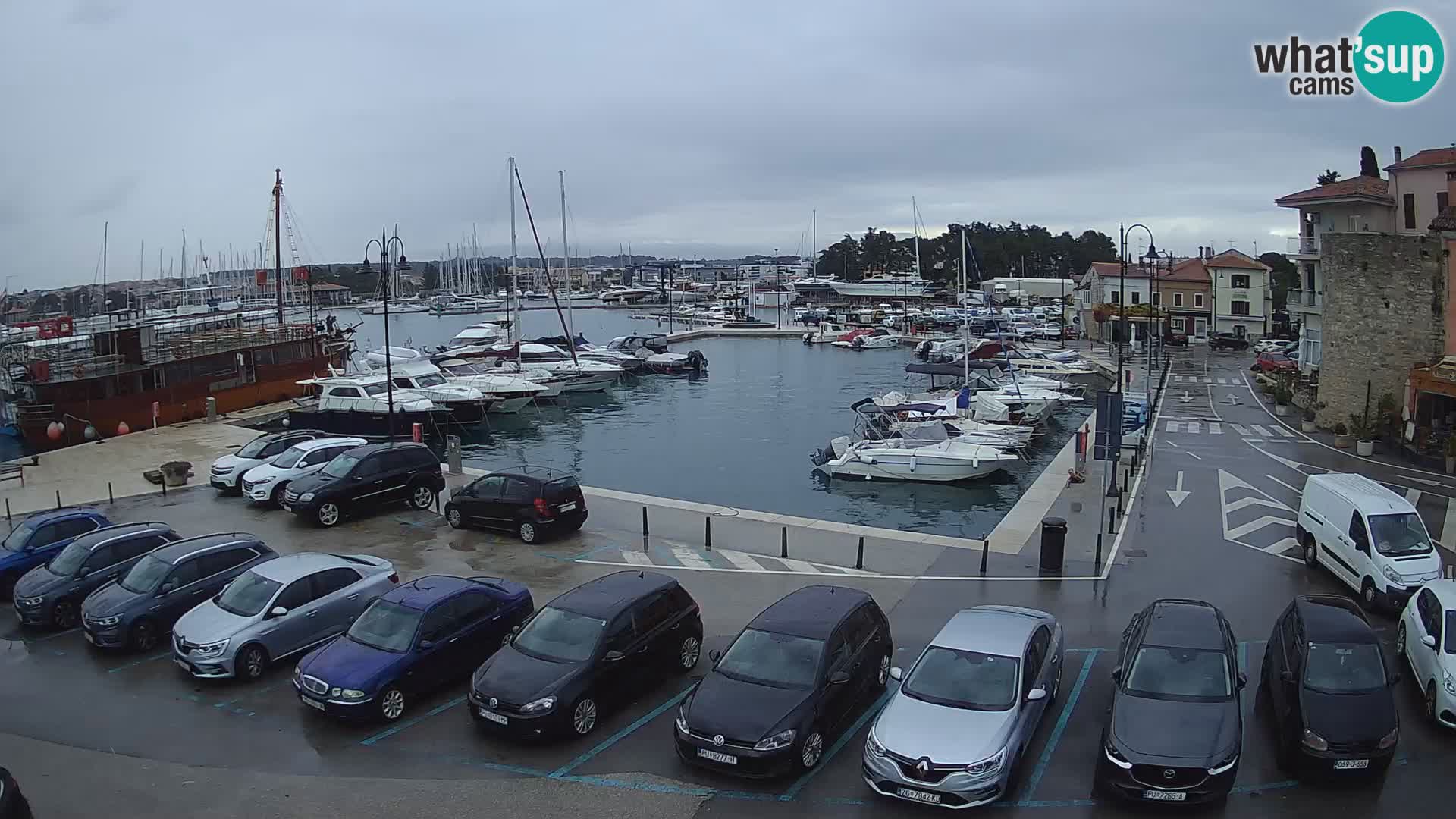 Novigrad | Porporela marina