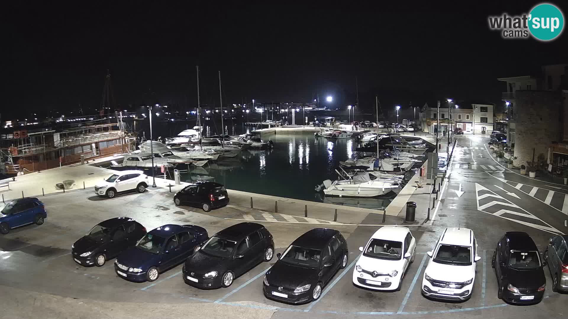 Novigrad | Porporela marina