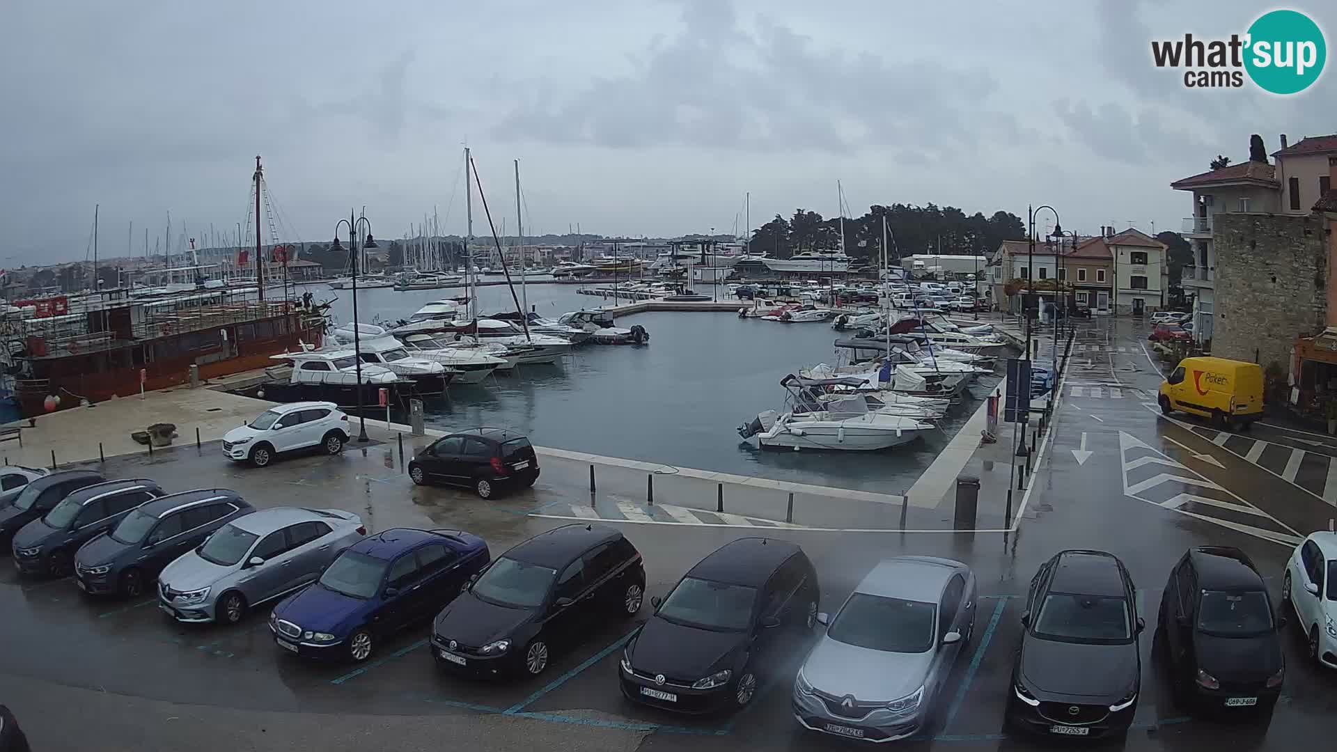 Novigrad | Porporela marina