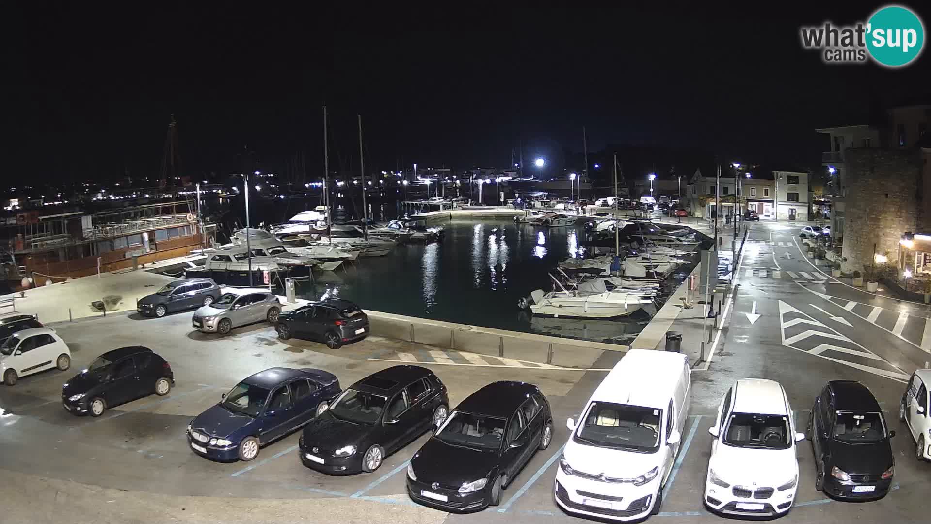Novigrad | Porporela marina