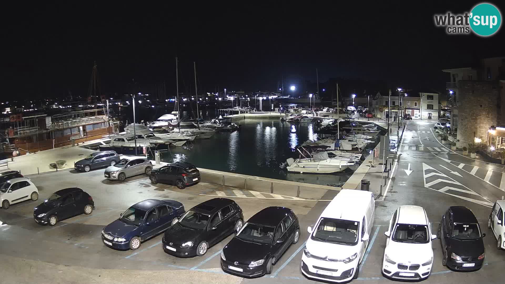 Novigrad | Porporela marina