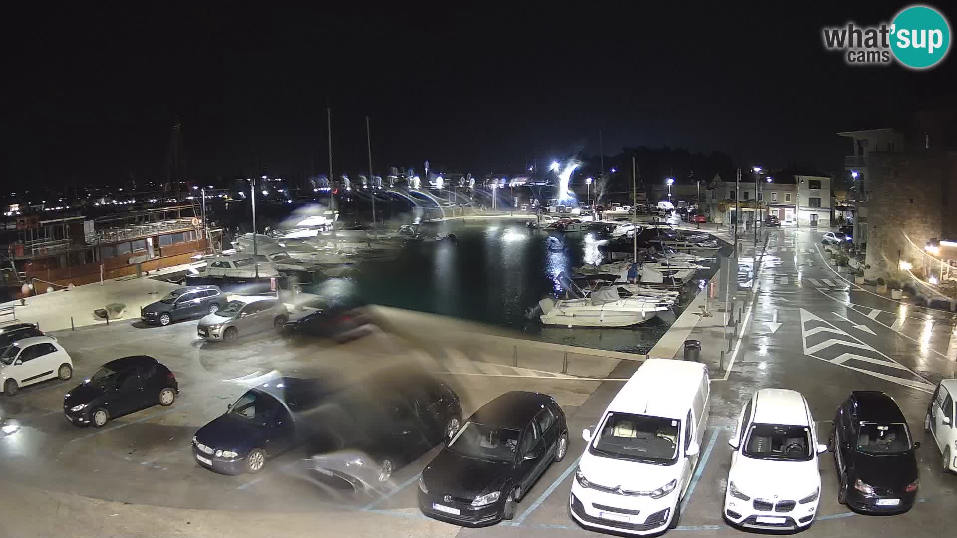 Novigrad | Porporela marina