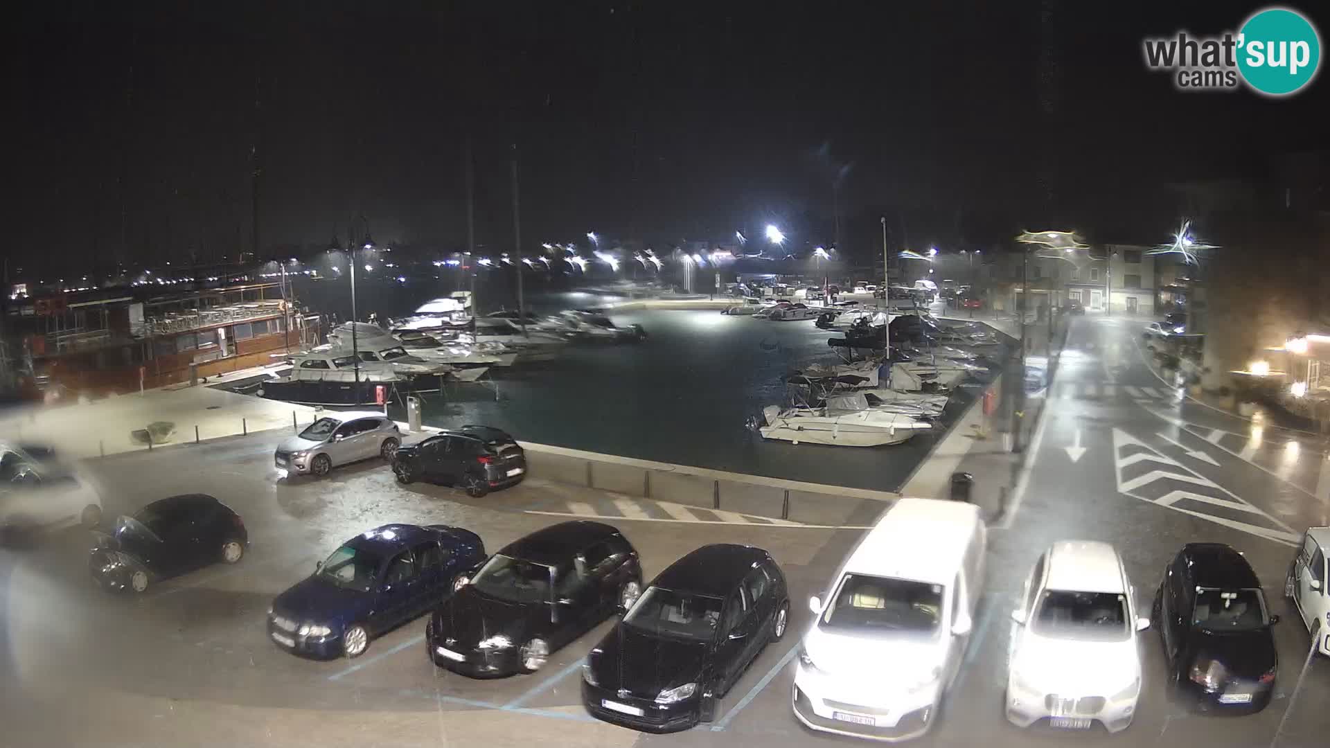 Novigrad | Porporela marina