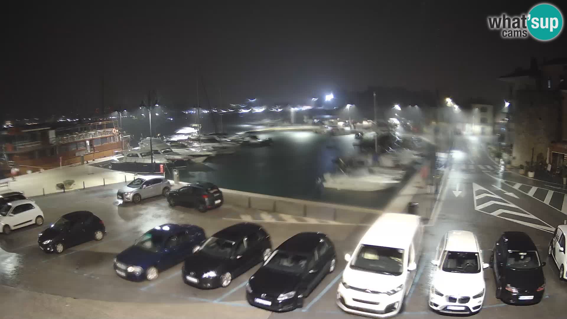 Novigrad | Porporela marina
