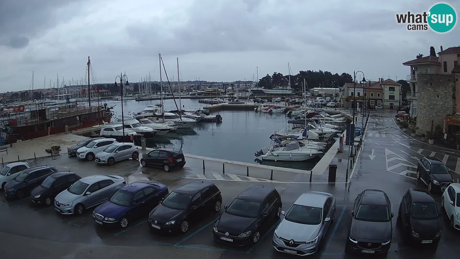 Novigrad | Porporela marina