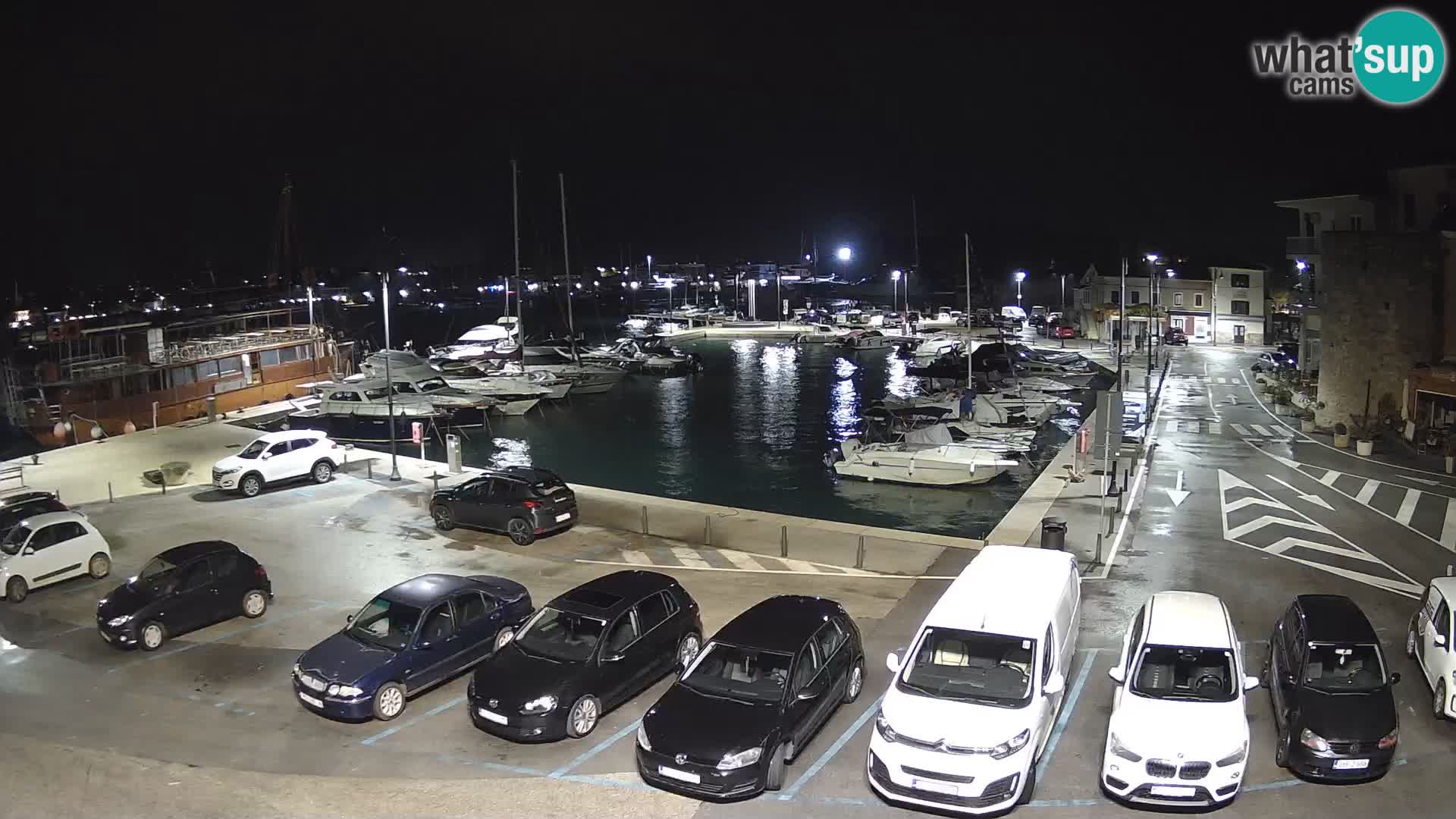 Novigrad | Porporela marina