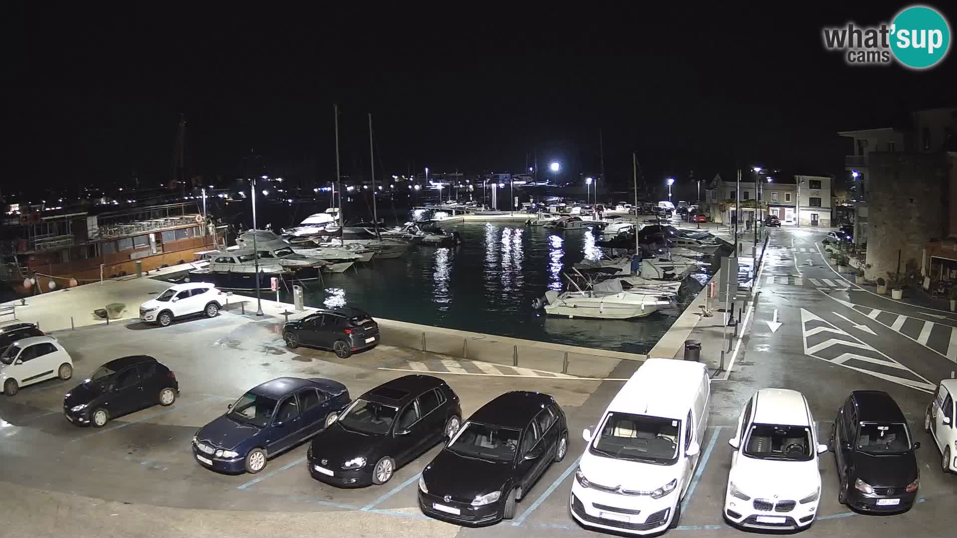 Novigrad | Porporela marina