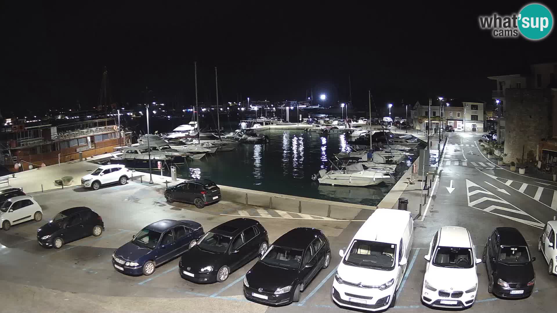 Novigrad | Porporela marina