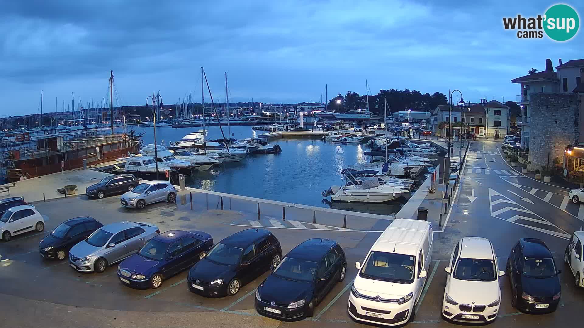 Novigrad | Porporela marina