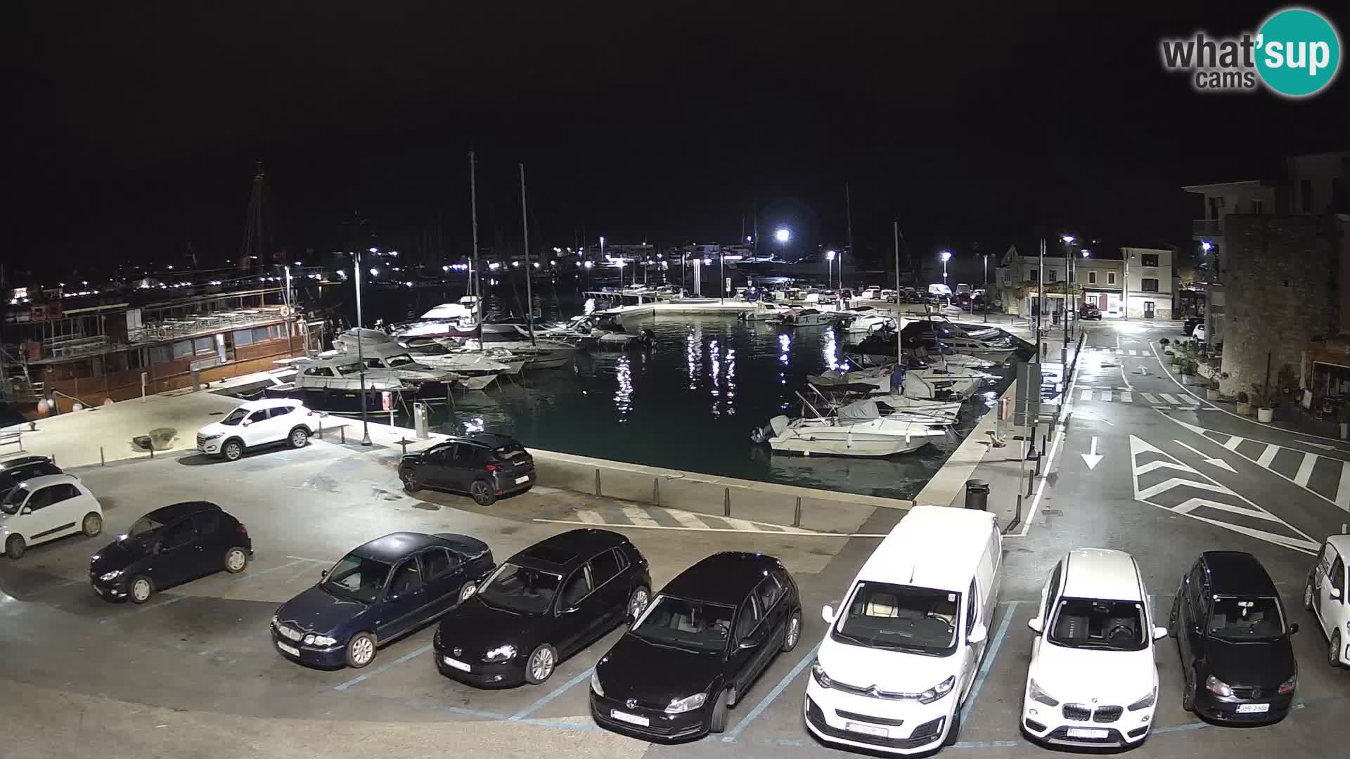 Novigrad | Porporela marina
