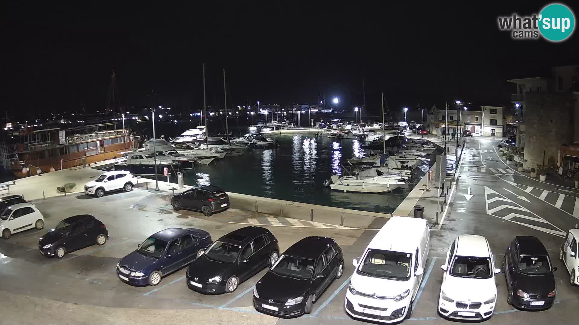 Novigrad | Porporela marina