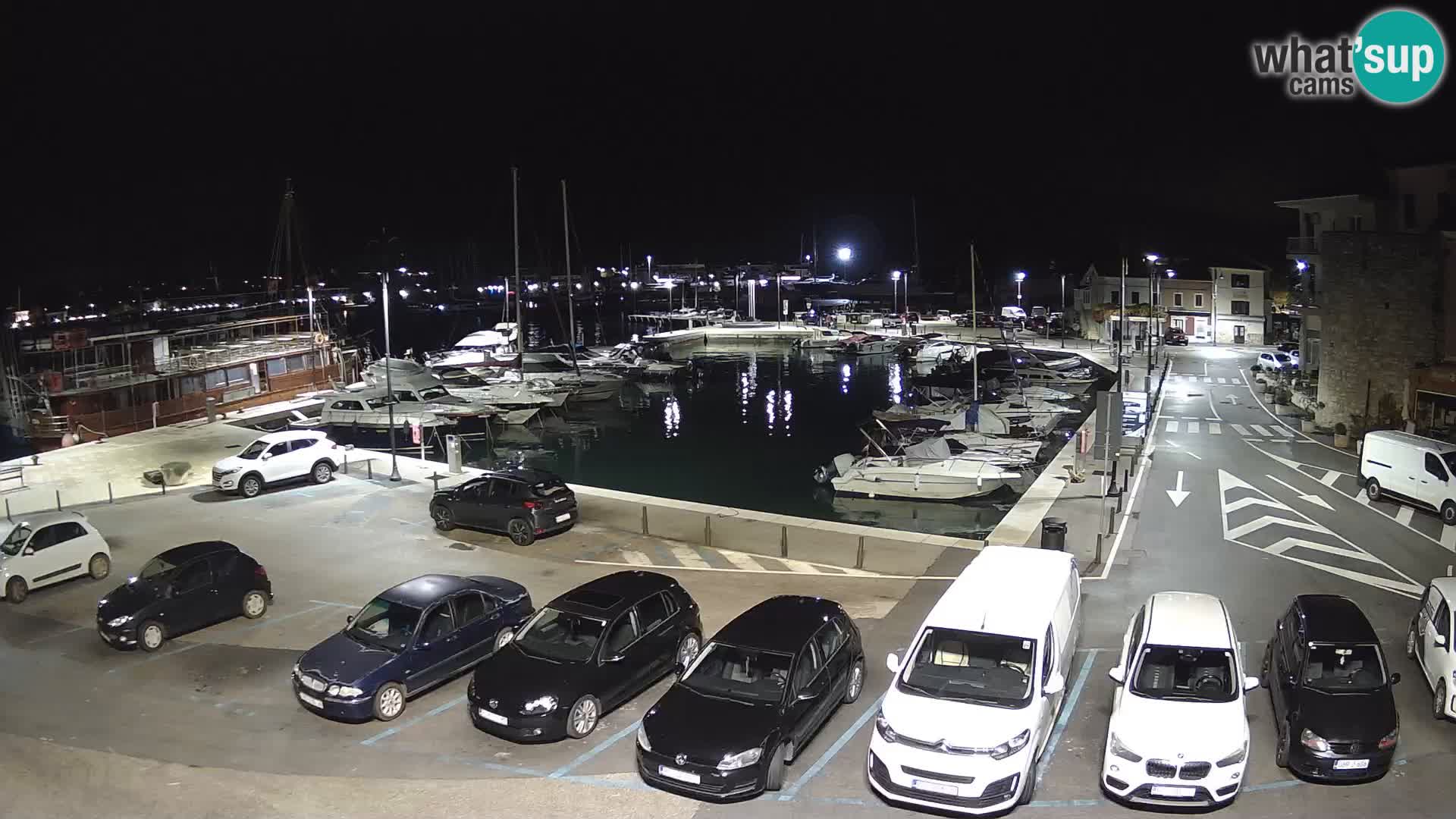Novigrad | Porporela marina