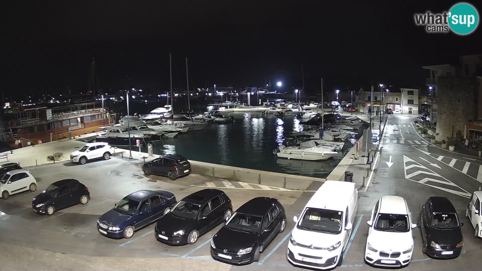 Novigrad | Porporela marina