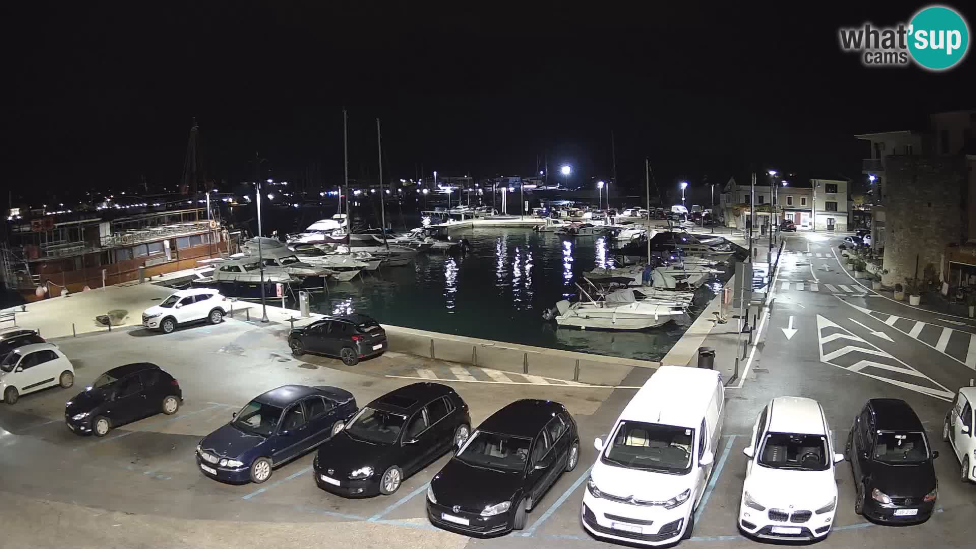 Novigrad | Porporela marina