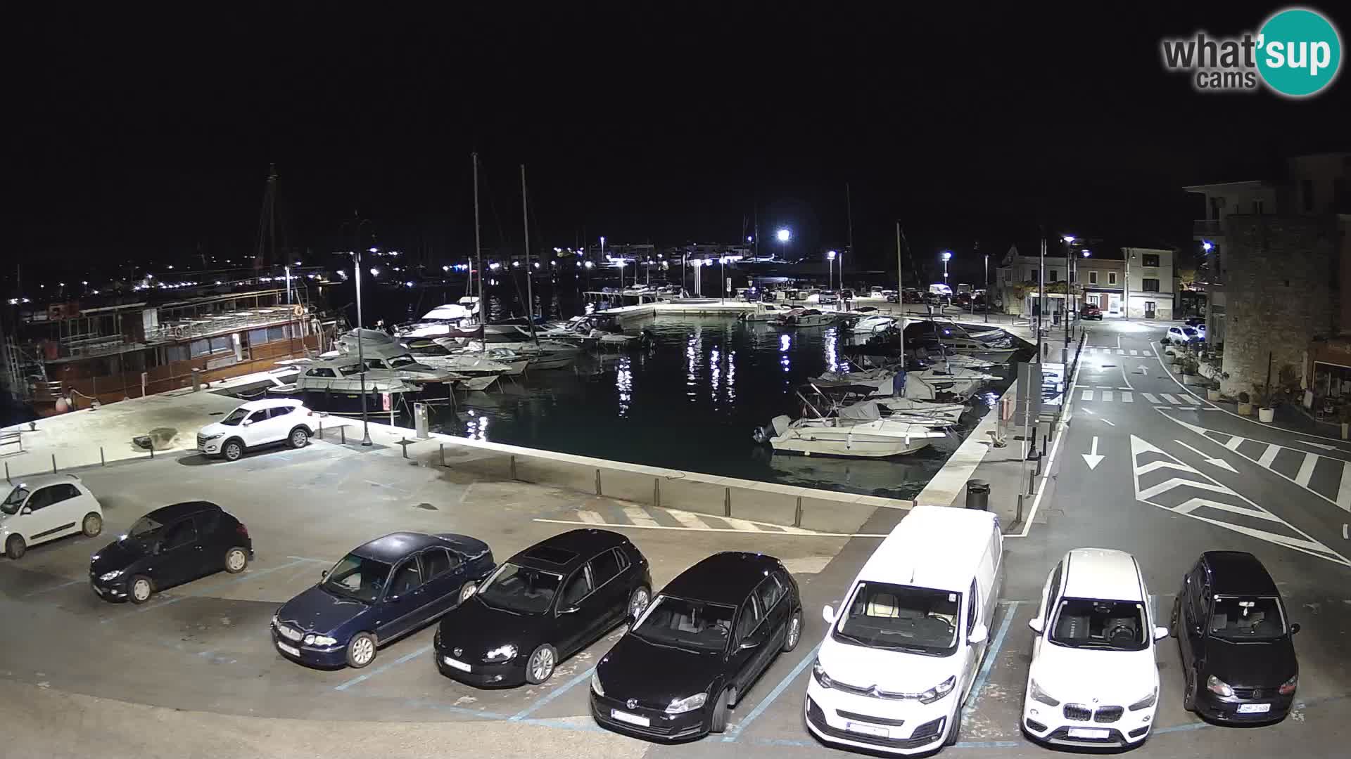 Novigrad | Porporela marina