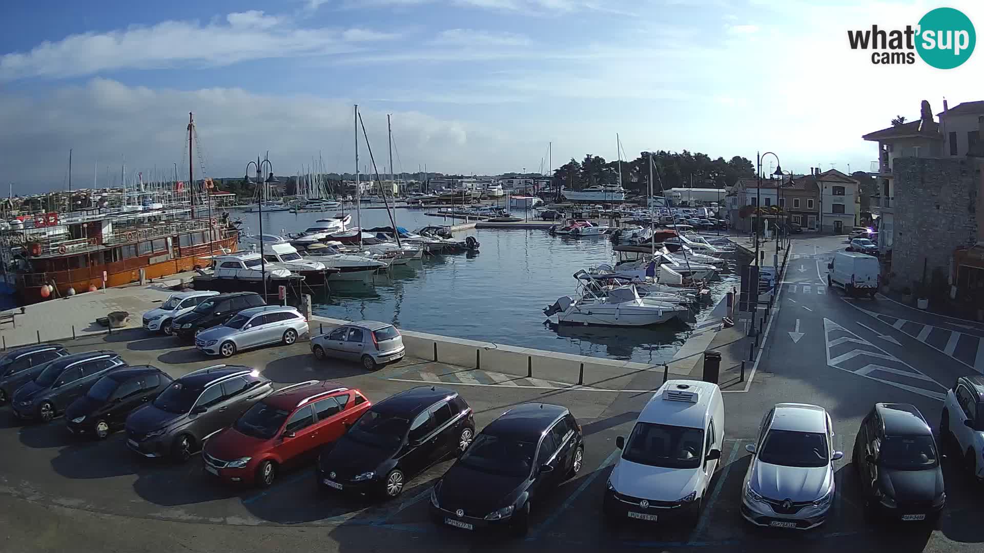 Novigrad | Porporela marina