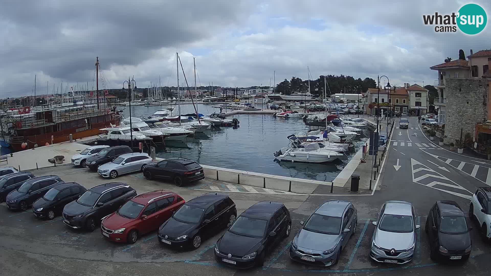 Novigrad | Porporela marina