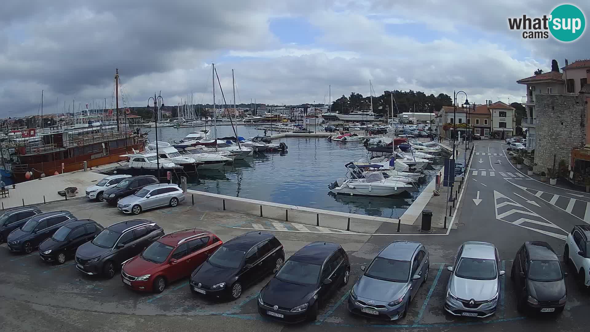 Novigrad | Porporela marina