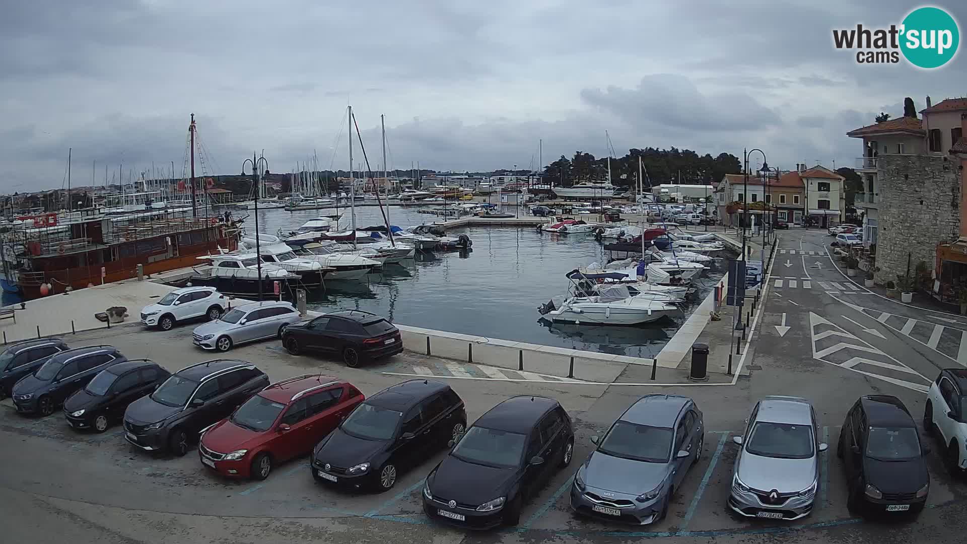 Novigrad | Porporela marina