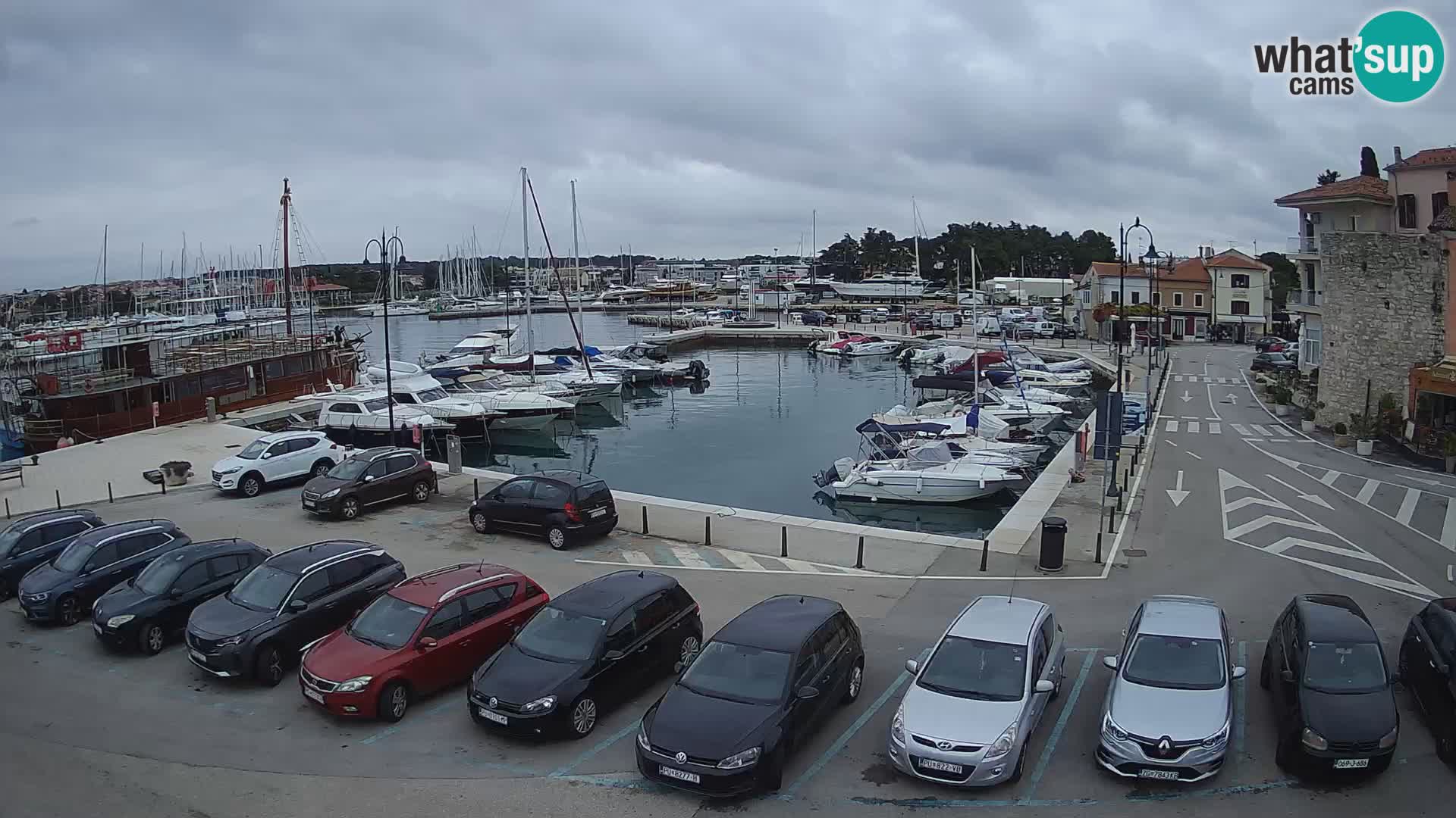 Novigrad | Porporela marina