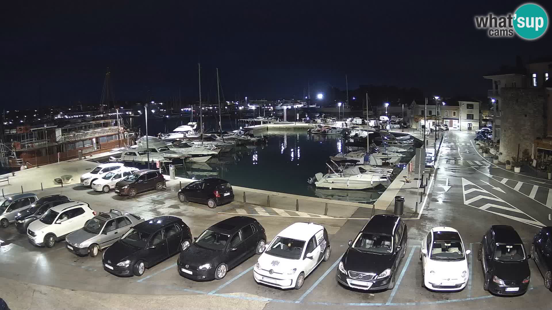 Novigrad | Porporela marina