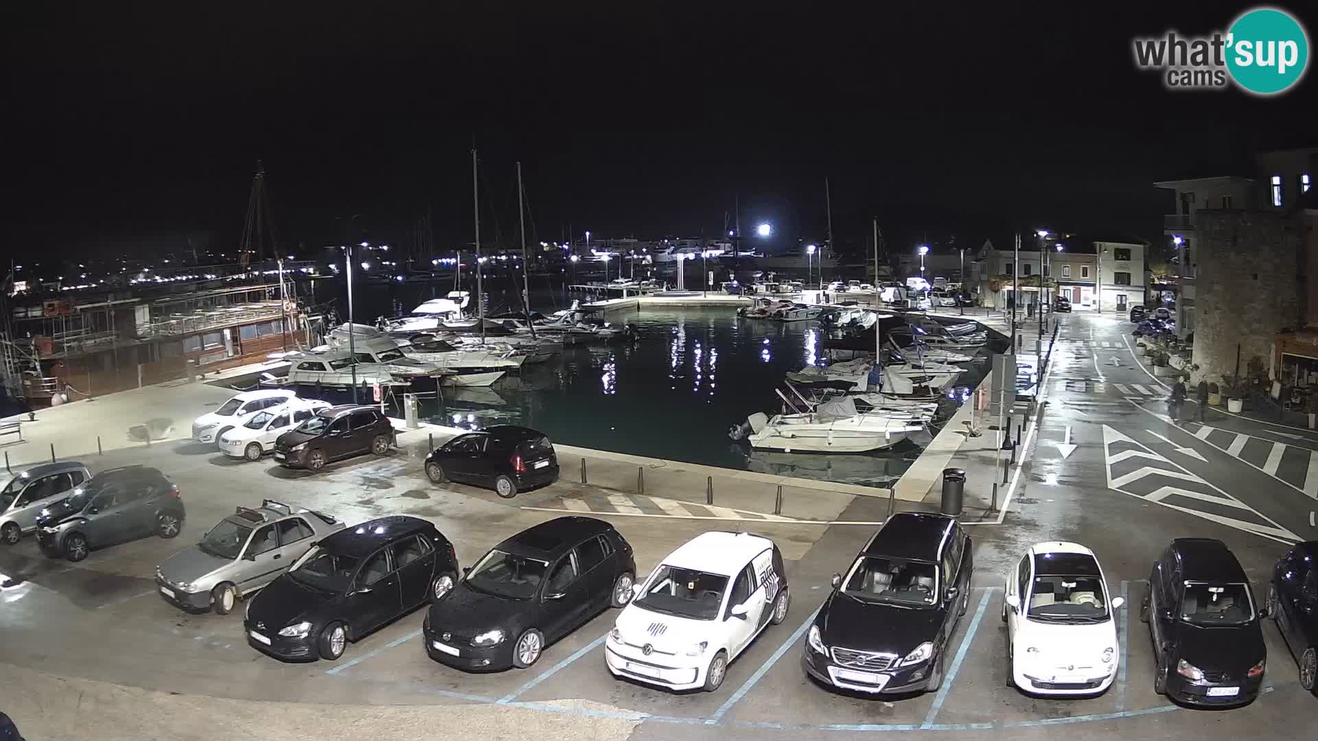Novigrad | Porporela marina
