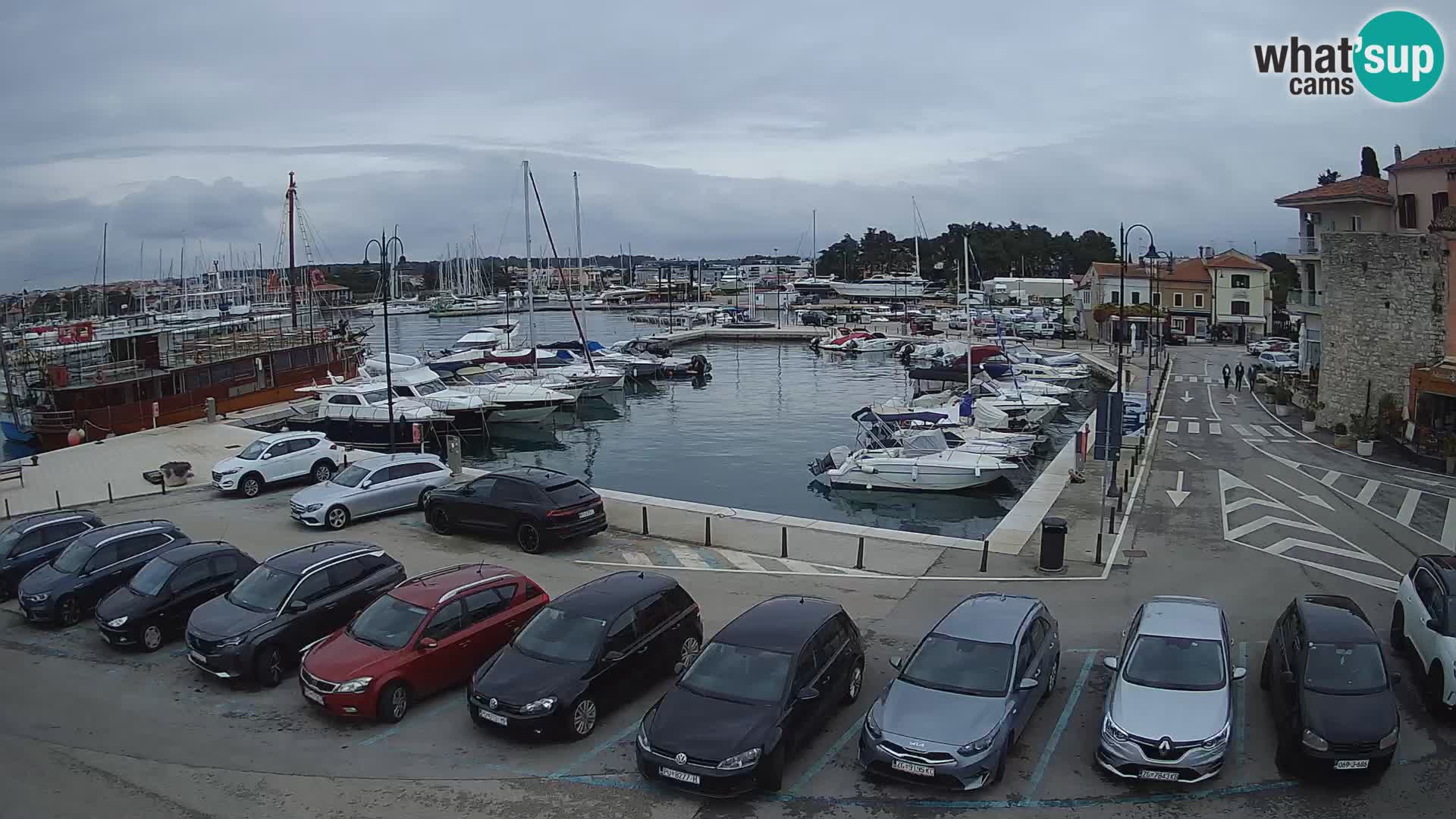 Novigrad | Porporela marina