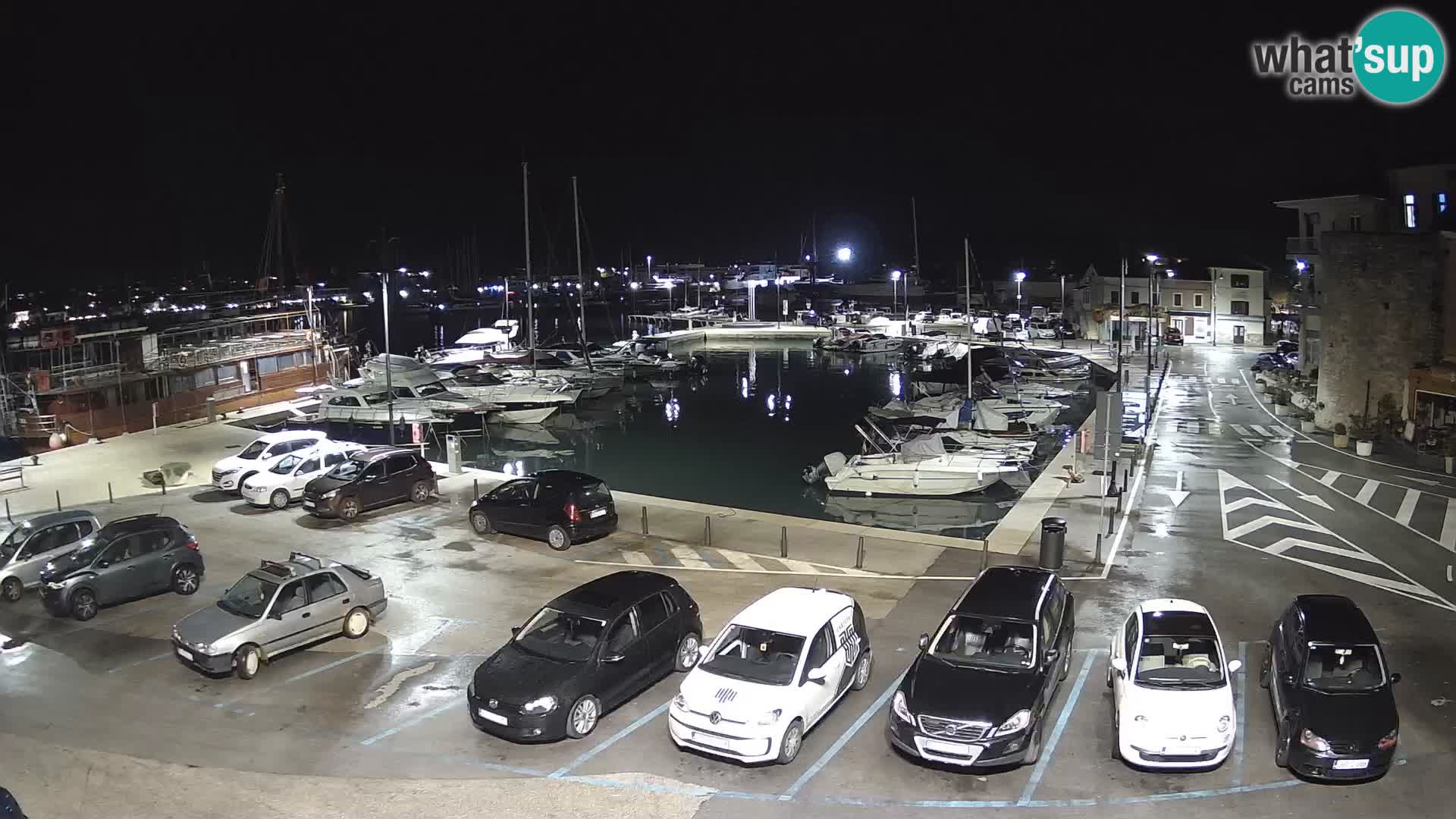 Novigrad | Porporela marina