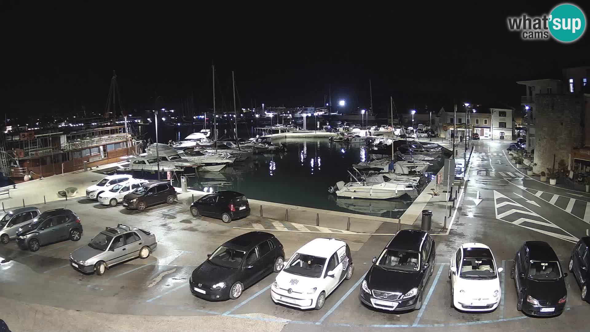 Novigrad | Porporela marina