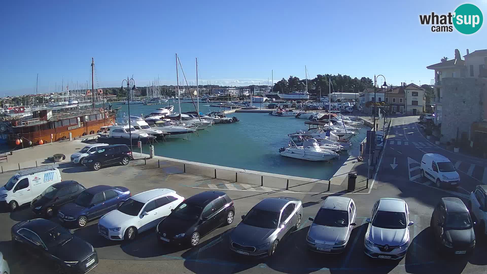 Novigrad | Porporela marina
