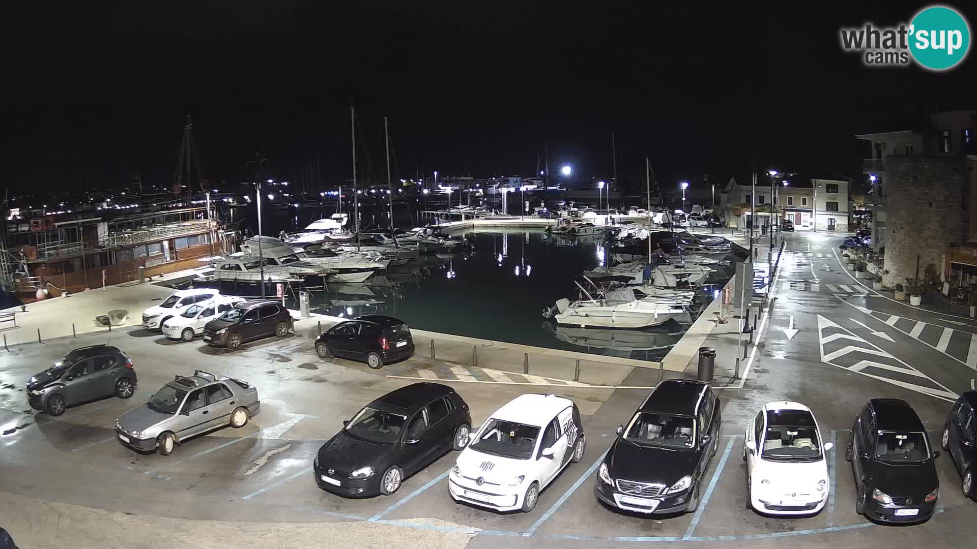 Novigrad | Porporela marina
